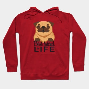 Pug Best friend Hoodie